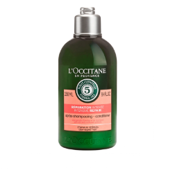 Antonio Banderas The Icon